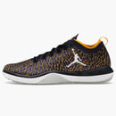 Jordan Trainer 1 Low Michigan