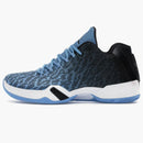 Jordan Xx9 Low Unc