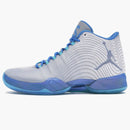 Jordan Xx9 Playoff Pack Home
