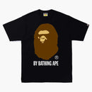 Bape przez kąpiel małp