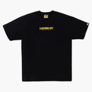 Bape Japan Souvenir