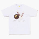 BAPE X End. Bolos