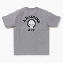 Bape X Neighborhood Tea Gray