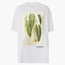 Camiseta de bosquejo de Burberry White White