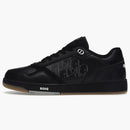 Dior B27 Low World Tour Black
