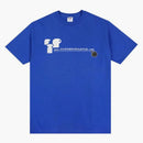 FTP website tea (FW20) Royal