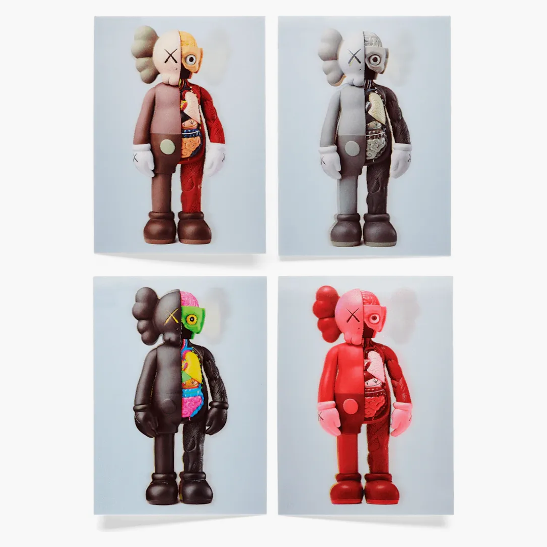 Kaws Companion Flayed Postcards - Buy at Hypeneedz