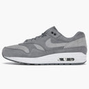 Nike Air Max 1 Cool Gray Wolf Gray