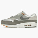 Nike Air Max 1 Pewter plano de mineral de hierro claro