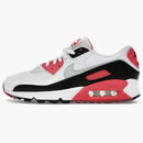 Nike Air Max 90 Aster Pink (women's)