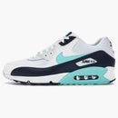 Nike Air Max 90 Aurora