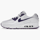 Nike Air Max 90 Color Pack Court Purple