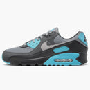 Nike Air Max 90 Cool Grey Dusty Cactus Black Wolf Grey