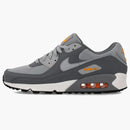 Nike Air Max 90 Cool Grey Sundial