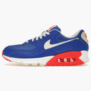 Nike Air Max 90 Hyper Royal Crimson