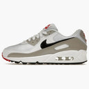 Nike Air Max 90 Light Iron All (women's)
