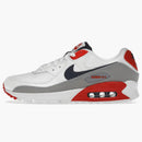 Nike Air Max 90 Usa (2021)