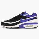 Nike Air Max Bw Persian Violet (2016)