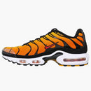 Nike Air Max Plus Sunset (2014)
