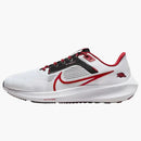 Nike Pegasus 40 Arkansas
