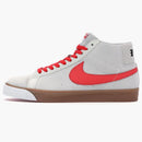 Nike Sb Blazer Swoosh Life