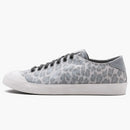 Nike Zoom All Court 2 Low Fragment Leopard Gray