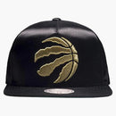 Ovo X Mitchell & Ness Raptor's logo has Black