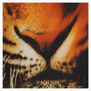 Skims X Roberto Cavalli Triangle Bikini Top Tiger Face Print