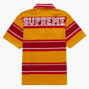 Supreme Stripe Velor Polo Gold