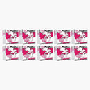 2025 Pokémon Scarlet & Violet White Flare Elite Trainer Box 10x Lot