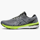 Asics Gt-2000 10 Carrier Grey White