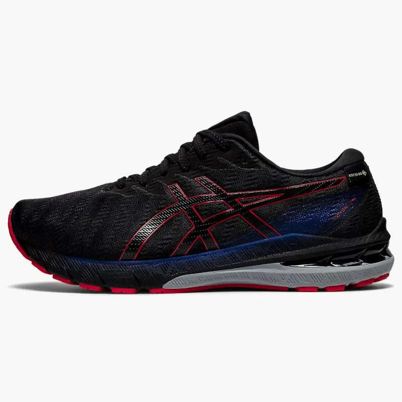 Asics Gt-2000 10 Gtx Graphite Grey