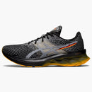 Asics Novablast Black Sheet Rock