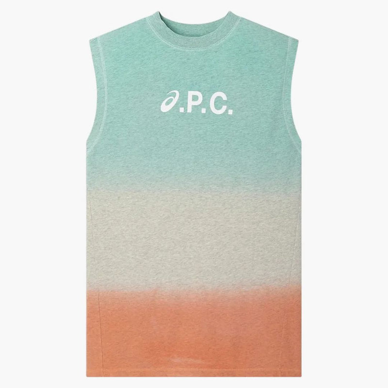 Asics X Apc Valey Dress Multicolor
