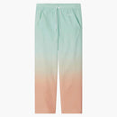 Asics X Apc Women's Haze Pants Multicolor