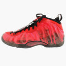 Nike Air Foamposite One Doernbecher