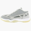 Jordan 11 Retro Low Ie Silver Zest