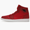 Jordan 1 Retro Red Elephant Print