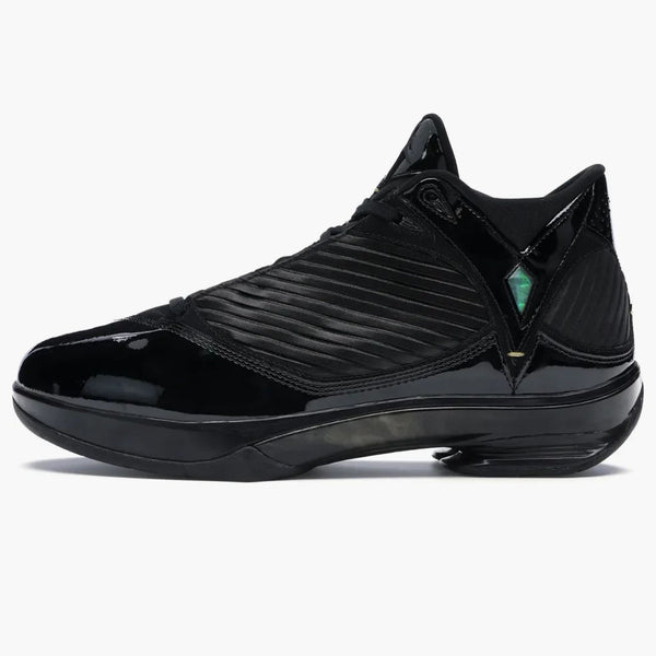 Jordan 2009 S23