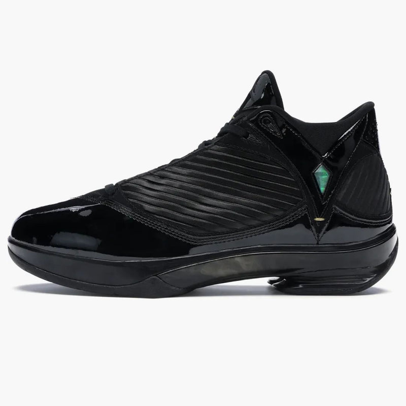 Jordan 2009 S23