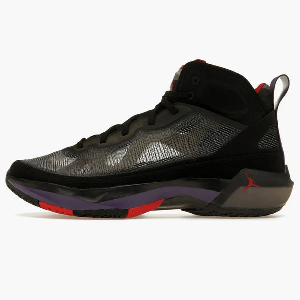 Jordan 37 Raptors