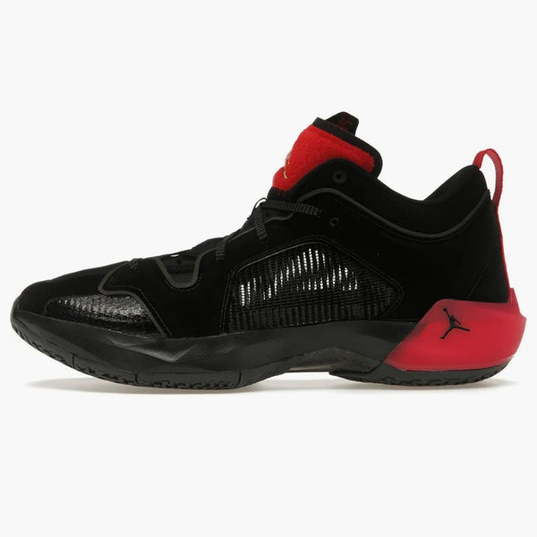 Jordan 37 uppfödd