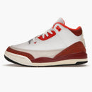 Jordan 3 Retro Se Dunk On Mars (ps)