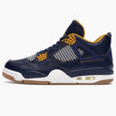 Jordan 4 Retro Dunk From Above