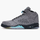 Jordan 5 Retro 3lab5