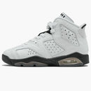 Jordan 6 Retro Alligator (gs)