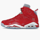 Jordan 6 Retro Slam Dunk