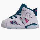 Jordan 6 Retro White Laser Fuchsia Green Abyss (td)