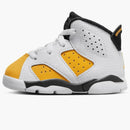 Jordan 6 Retro Yellow Ochre (td)
