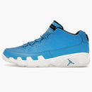 Jordan 9 Retro Low Pantone